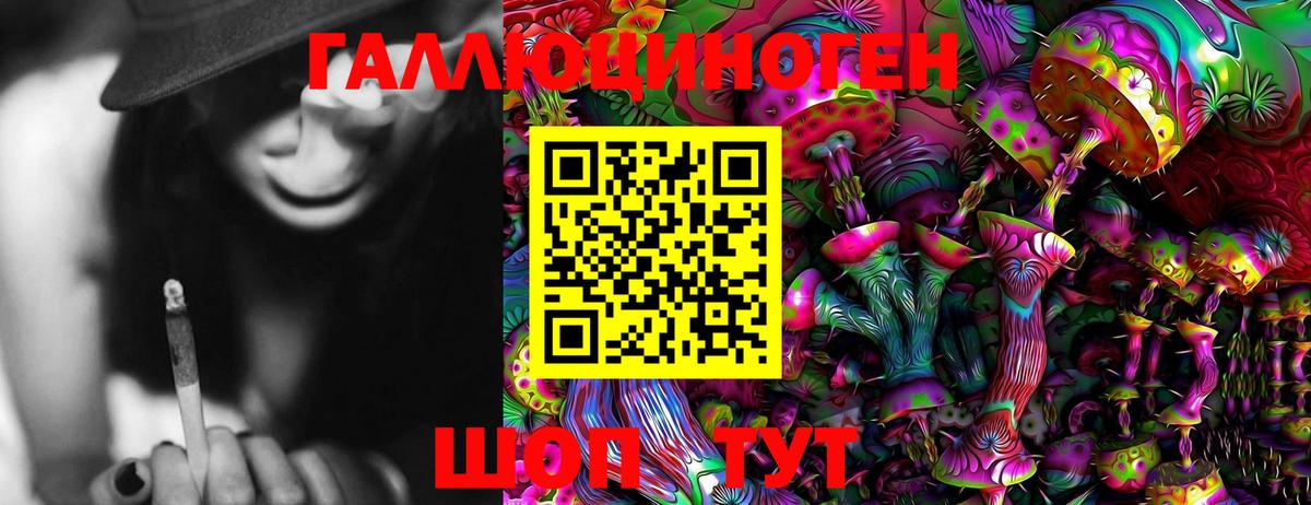 как найти наркотики  Галлюциногенные грибы Psilocybine cubensis  Вход с VPN  Галлюциногенные грибы мицелий  Троицк 