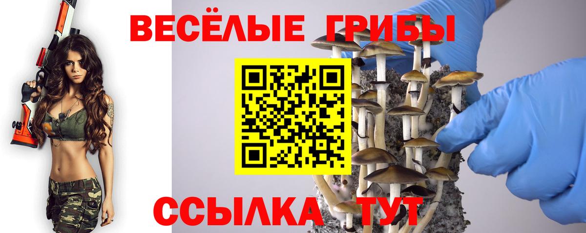 Бошки Шишки Троицк